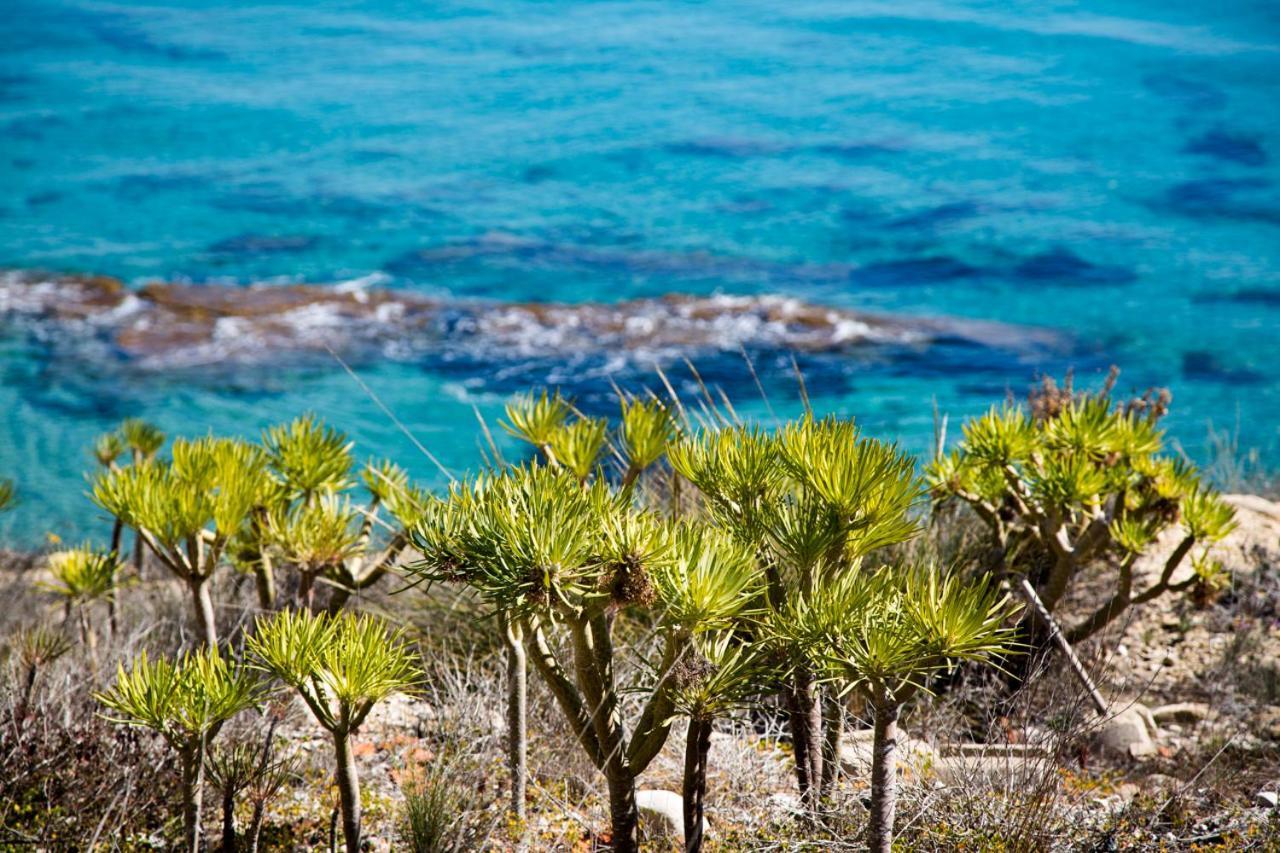 Calanuza Villa El Campello Kültér fotó